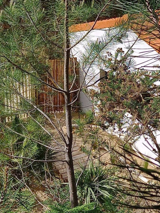 Cot'& Dune - Lodge D'Hote & Spa De Nage Saint-Augustin  外观 照片