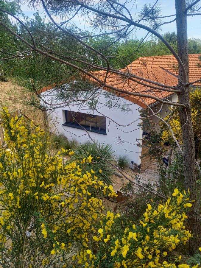 Cot'& Dune - Lodge D'Hote & Spa De Nage Saint-Augustin  外观 照片